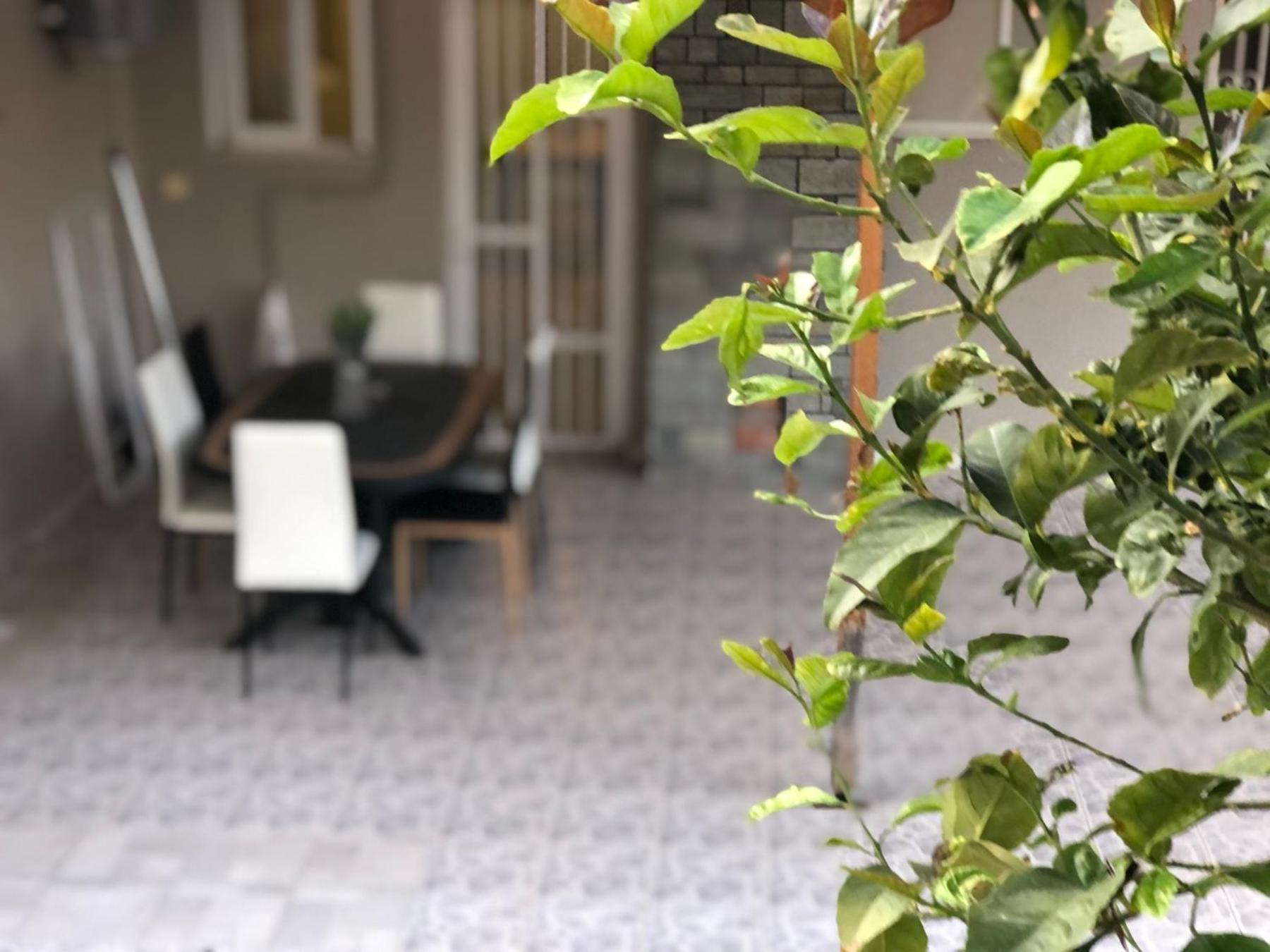 La Vita Apartments-Near Airport & Sea Artemida  Room photo